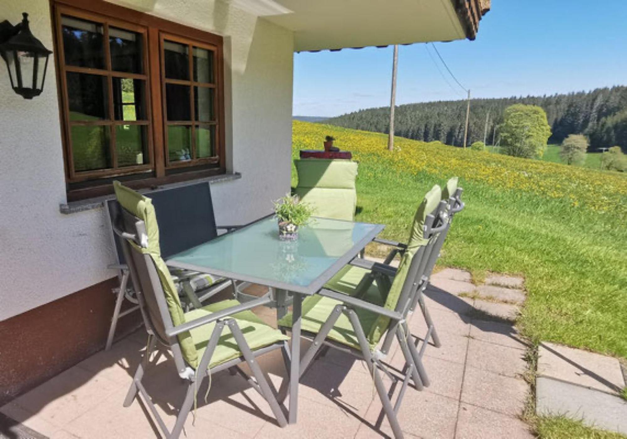 Oberengenbachhof Apartment Eisenbach  Exterior photo